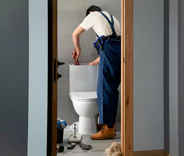 Professional Plumbers for Toilet Bowl Replacement in Fair Lawn, NJ: Schedule Affordable Toilet Replacement Services With Us