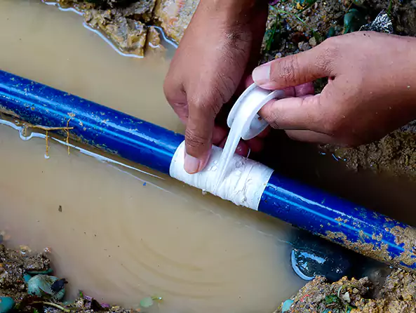  Why Choose Fair Lawn Plumbing Pro for Leak Detection in Fair Lawn, NJ?]